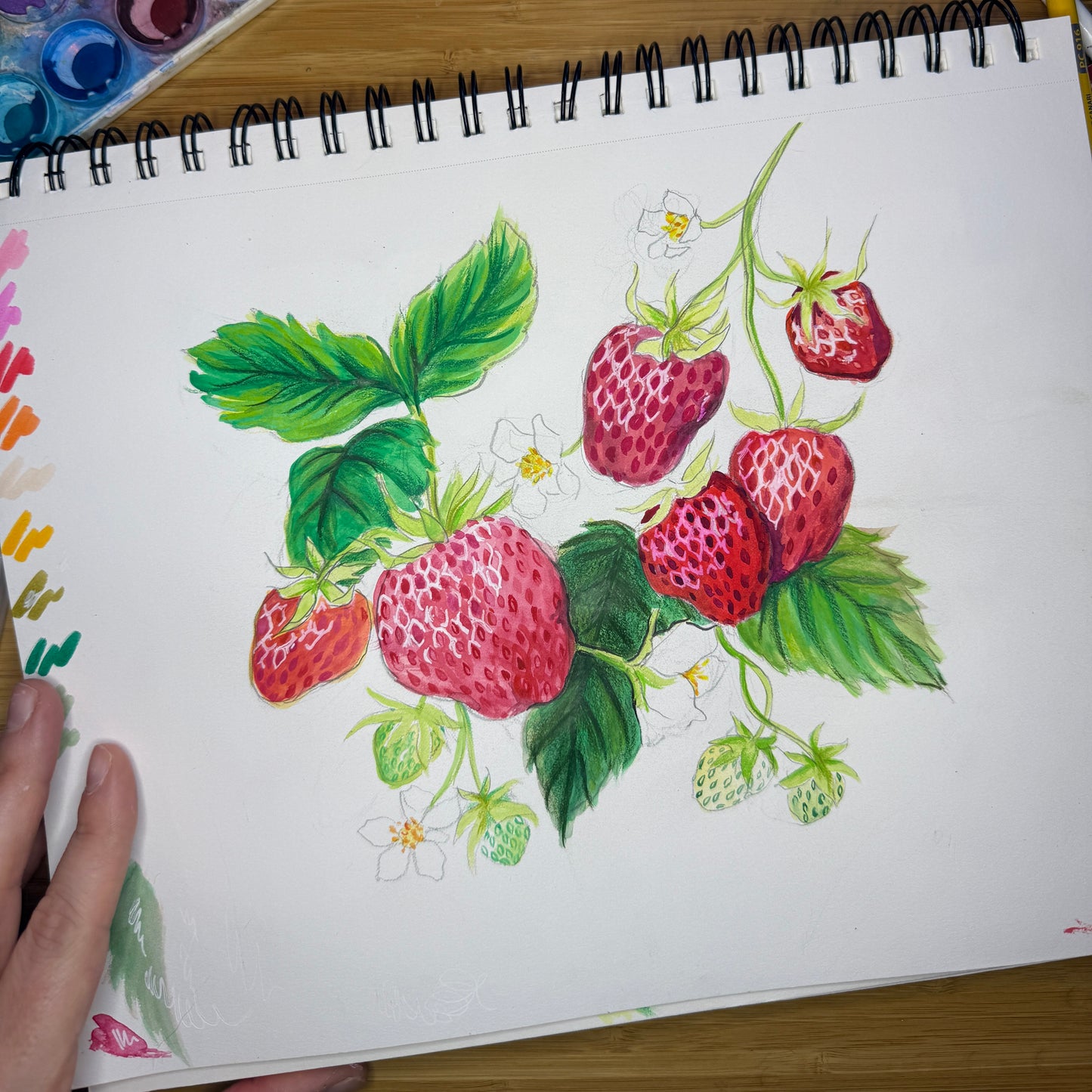 Early Summer Strawberries Print
