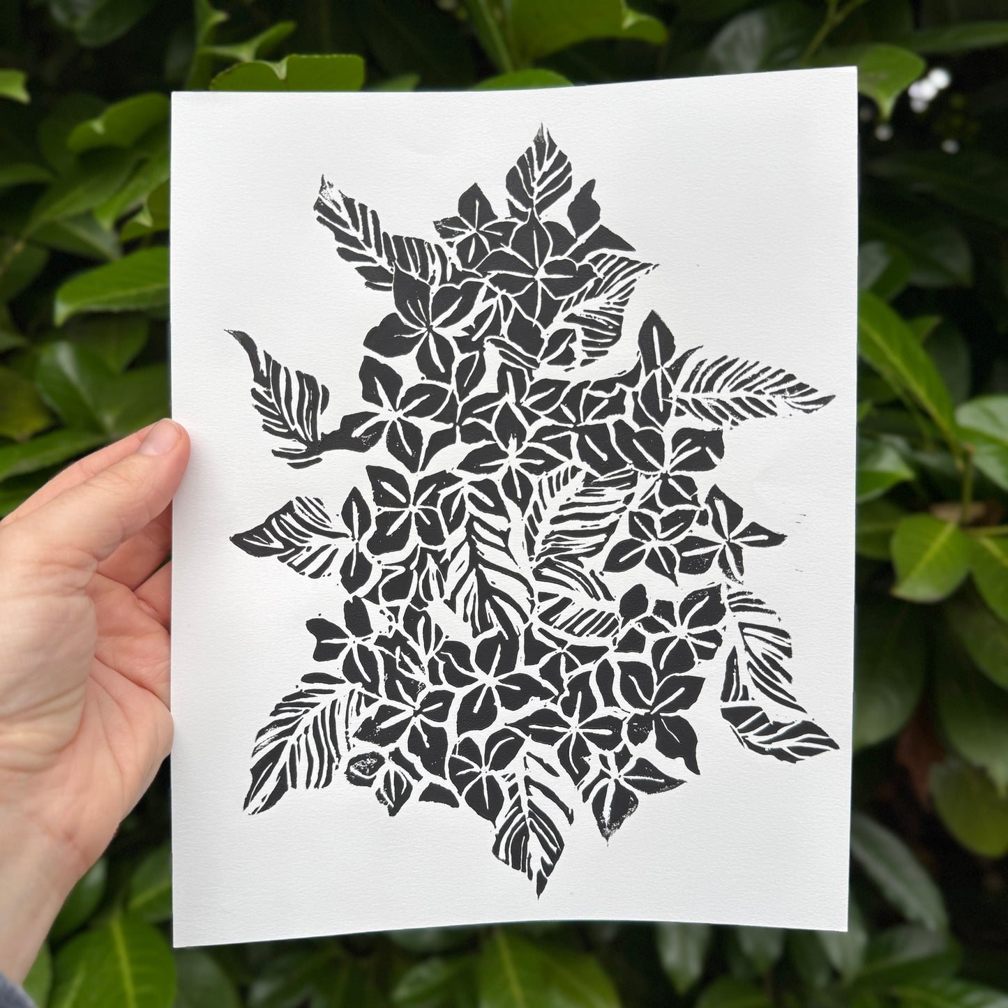Original Hydrangea Linocut Print