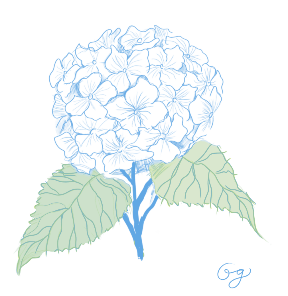 MJ's Hydrangea Riso Print