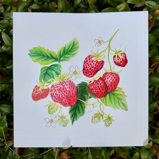 Early Summer Strawberries Print