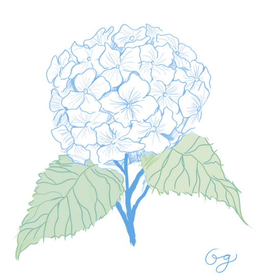 MJ's Hydrangea Print