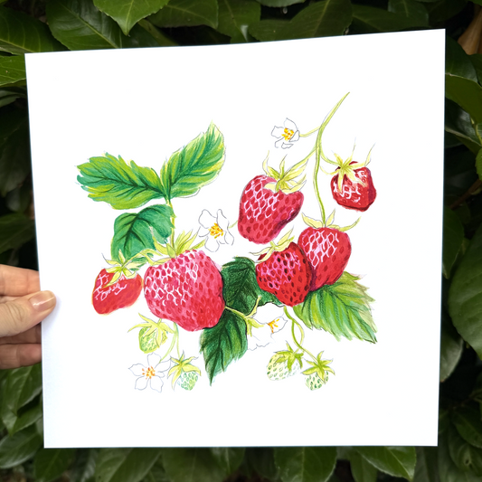 Early Summer Strawberries Print